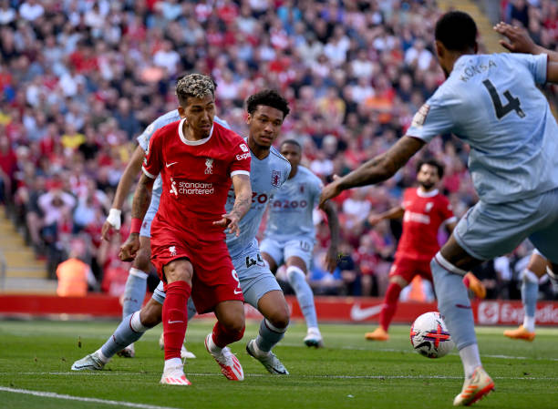 从灰熊手中 从灰熊手中